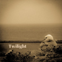 Twilight_Roar Netland-Ebbesen,Susanne Larsen,Robbie Robertson