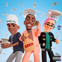 BAKIN(feat. Slushii & Dj Whoo Kid)_Desiigner,Slushii,DJ Whoo Kid