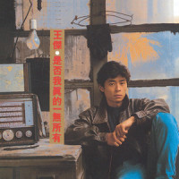 沉默暴风_王杰