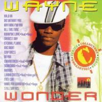 Loving Excess (feat. Don Yute)_Wayne Wonder,Don Yute