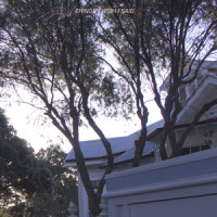 Things I Wish I Said_Late June