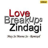 Love Breakups Zindagi_Sonu Nigam,Shreya Ghoshal,Sahil Saanga