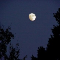 Moon River_Brigitte