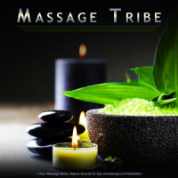Soft Guitar Sleeping Music_Massage Tribe,Spa,Spa Music Relaxation