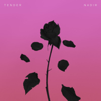 Nadir_TENDER