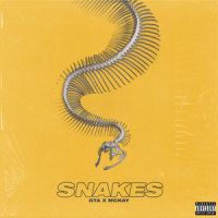 Snakes_GTA,McKay