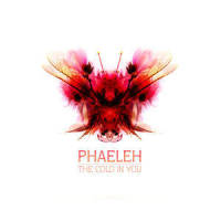 In The Twilight_Phaeleh