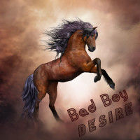 Bad Boy_Desire