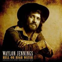 Mama Dont Let You Babies Grow Up To Be Cowboys (Live 1978)_Waylon Jennings