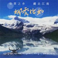 漫步在麦迪卡_白玉扎西