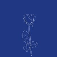 I Was Made for Loving You(feat. Il Rosso)_Brigitte,Il Rosso