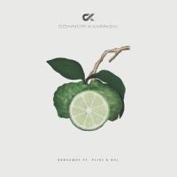 Bergamot (feat. Plini & RO1)_Connor Kaminski,Plini,Ro1
