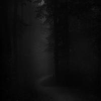 Forgotten_sinX,Noah Young