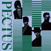 Przejazdem_Pectus,Kayah