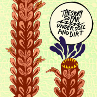 High Regard_The Story So Far