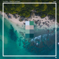 Follow (feat. Lucas Marx)_Tom Wilson,Lucas Marx