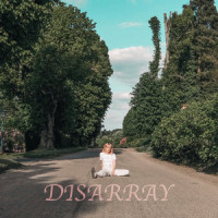 Disarray_Charlotte Clark