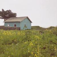 Butterfly_Kina Grannis