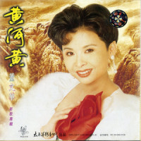 真情永远_董文华