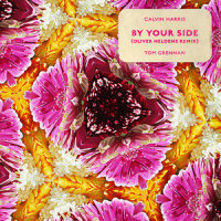 By Your Side_Calvin Harris,Tom Grennan,Oliver Heldens