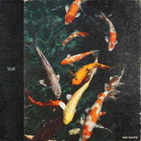 Sue_no suits