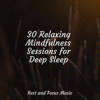 Sleeping in Utopia_Academia de Música para Massagem Relaxamento,Pink Noise,Massage Therapy Music