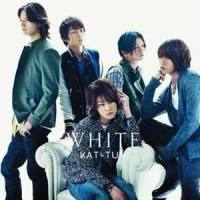 PERFECT_KAT-TUN
