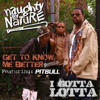 I Gotta Lotta_Naughty By Nature