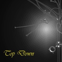 Top Down_Majik