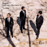II. Allegretto_Trio Zadig,Camille Saint-Saëns