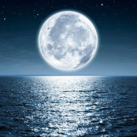 Dreamscape_Austin Farwell