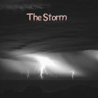 The Storm(feat. Ouse, Mothica & Leonardo Favio)_Terror Reid,Ouse,Mothica,Leonardo Favio