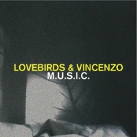 Electric Girl_Lovebirds,Vincenzo