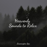 Low Frequency Waves_Mindfulness Meditation World,Deep Sleep,Rainforest Sounds