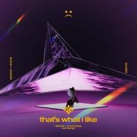 that's what i like - slowed + reverb_Slo,Twilight,Tazzy