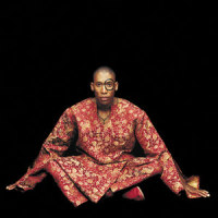 Doing What I Can_Raphael Saadiq