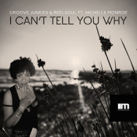 I Can't Tell You Why_Groove Junkies,Reelsoul,Nichelle Monroe,Don Henley,Glenn Frey,Timothy B. Schmit