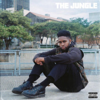 Jungle_TSA,Zolile Mcelu