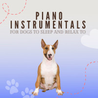 Pets Want music_Piano Peace,Pet Music Therapy,Pets Love Music