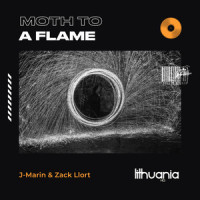 Moth to a Flame_J-Marin,Zack Llort,Abel Tesfaye,AXEL CHRISTOFER HEDFORS,Steve Angello,Sebastian Carmine Ingrosso