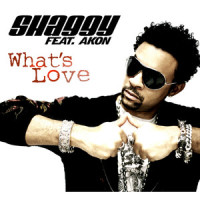 What's Love_Shaggy,Akon