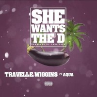 She Wants the D(feat. Aqua)_Travelle Wiggins,Aqua