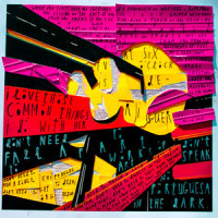 Common Things_Little Comets