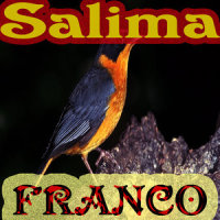 Salima_Franco