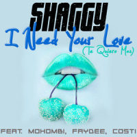 I Need Your Love(Te Quiero Mas)_Shaggy,Mohombi,Faydee,Costi