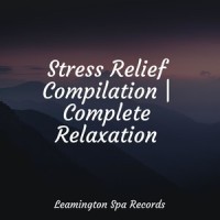Susurrations_Rain Storm Sample Library,Yoga Workout Music,Pink Noise