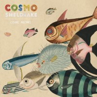 Come Along_Cosmo Sheldrake,Copyright Control