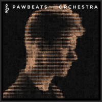 Niematerialnie (feat. Sarcast)_Pawbeats,Sarcast