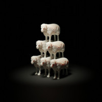 You Liked This (Okay, Computer!)_Will Wood