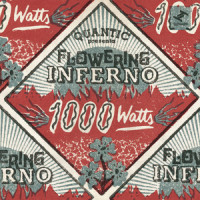 Homeward Bound_Quantic,Flowering Inferno